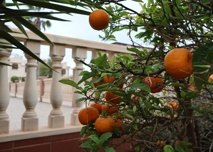 Casa La Familia Torrevieja